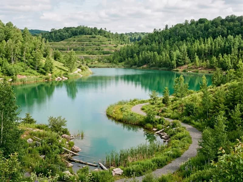 Reklamasi & Land Clearing